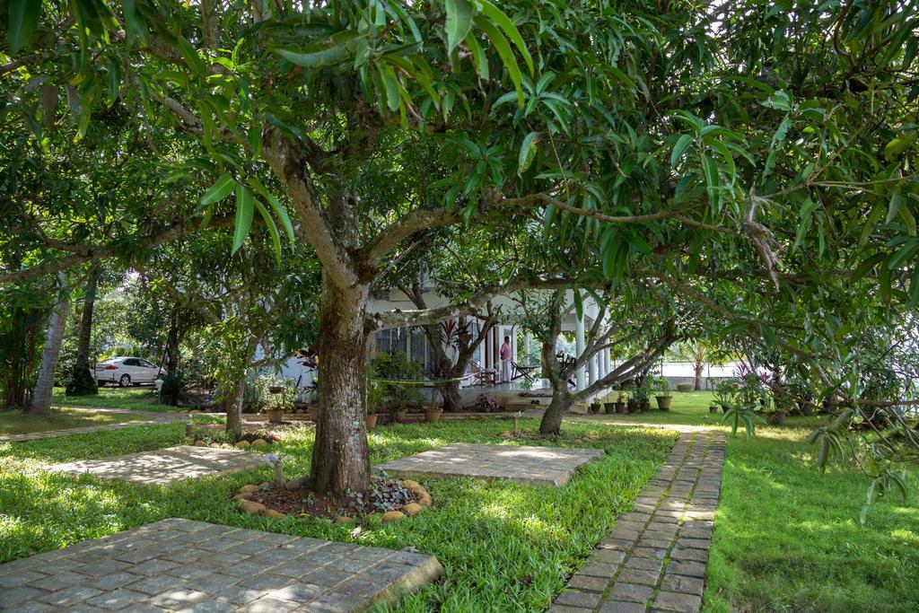 Orchid Lake View Homestay Alappuzha Exterior foto